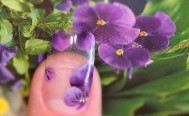 Как правильно красить ногти | Маникюр и дизайн ногтей Beauty-Hands.ru
